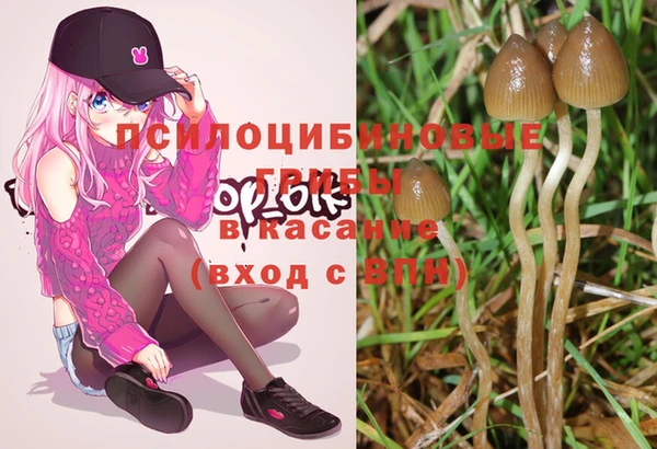 spice Липки