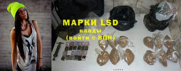 spice Липки