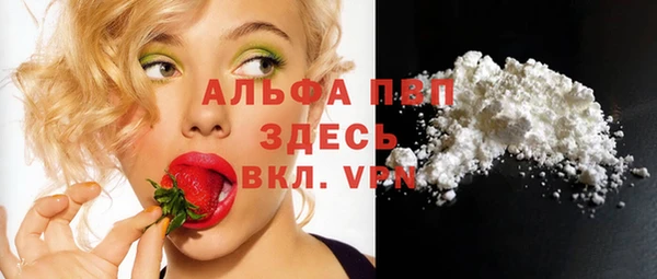 прущие грибы Магас