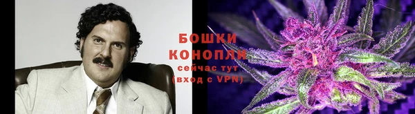 spice Липки