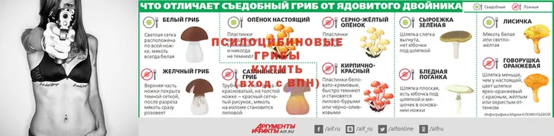 Галлюциногенные грибы мицелий  Красновишерск 